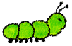 grape inch worm